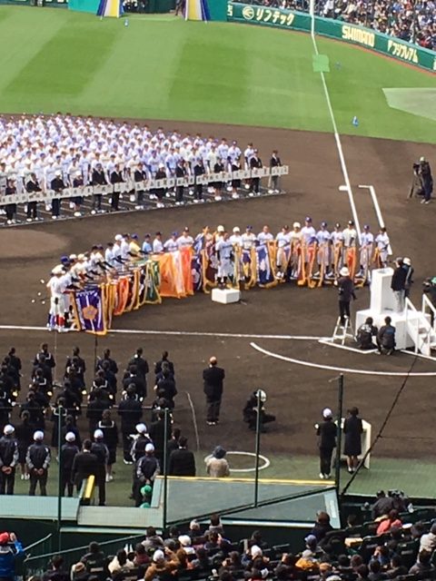 夏の高校野球観戦チケットの購入方法！通し券か単日券か複雑なチケット